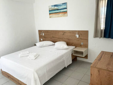 Δίκλινο Economy - Coralli Beach Hotel